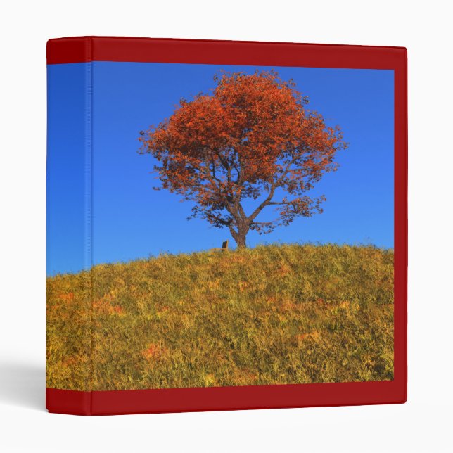 Clear Autumn Day Binder (Front/Spine)