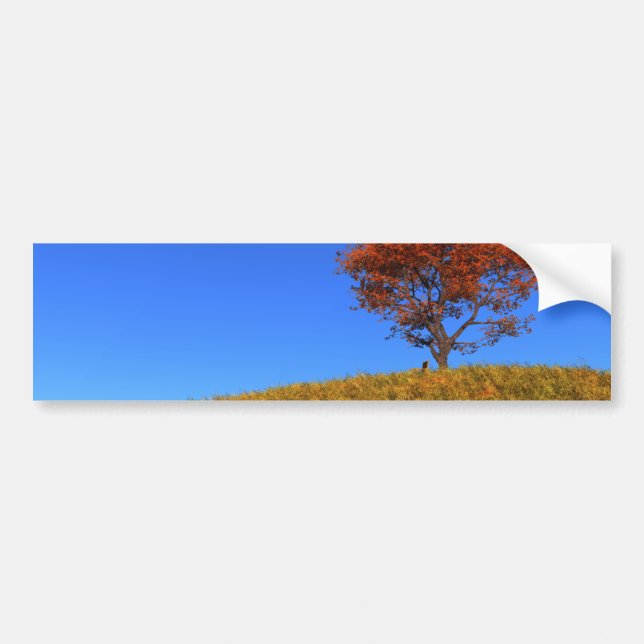 Clear Autumn Day Bumper Sticker (Front)