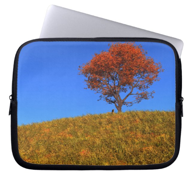 Clear Autumn Day Laptop Sleeve (Front)