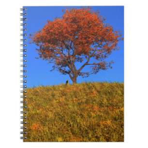 Clear Autumn Day Notebook