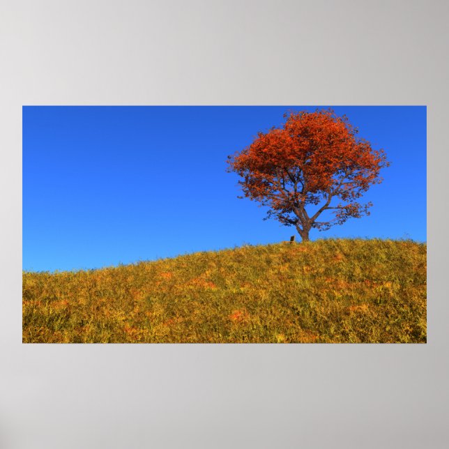 Clear Autumn Day Print (Front)