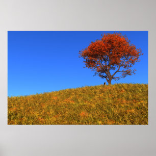 Clear Autumn Day Print