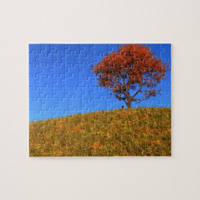 Clear Autumn Day Puzzle (Horizontal)
