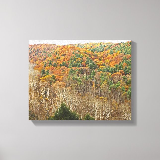 CLEAR FORK GORGE,MOHICAN MEMORIAL STATE FOREST CANVAS PRINT (Front)