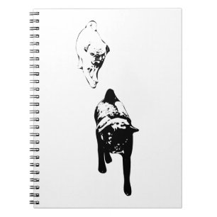 Clear Outlines, Reflective Journal