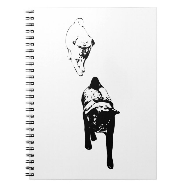 Clear Outlines, Reflective Journal (Front)