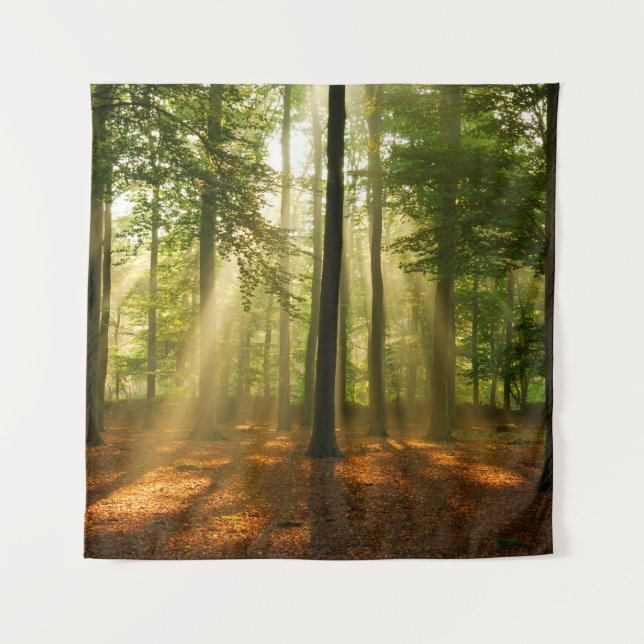Clear rays of light shining through the forest in  tapestry (Front)