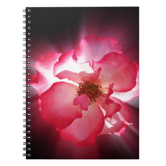 clear red petals notebook (Front)