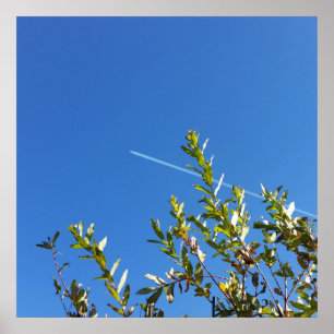 clear sky poster