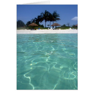 clear waters bahamas