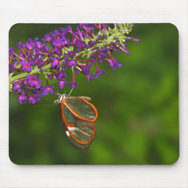 Clear wing upside down mouse pad (Front)