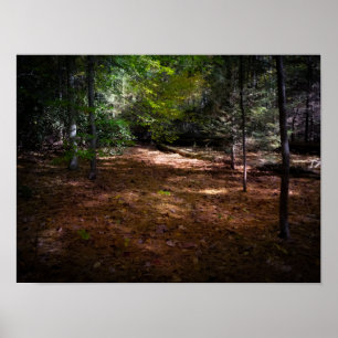 Clearing in a Dark Forest  Poster