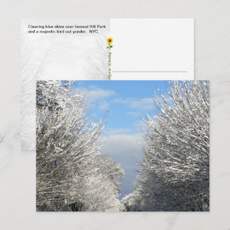 Clearing Skies & Tailwinds, NYC -  Postcard