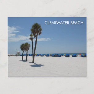 Clearwater Beach FL Postcard