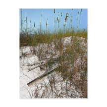 Clearwater Beach Florida art gifts