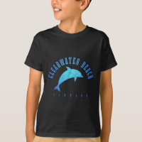 Clearwater Beach Florida Fl Dolphin Vacation Souve