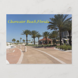 Clearwater Beach Florida Postcard