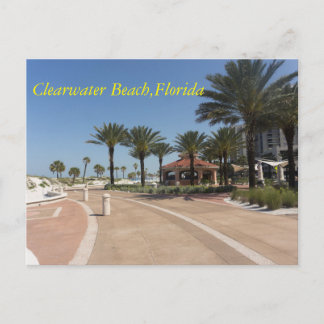 Clearwater Beach Florida Postcard