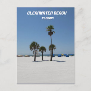 Clearwater Beach Florida Postcard