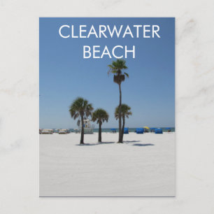 Clearwater Beach Florida Postcard