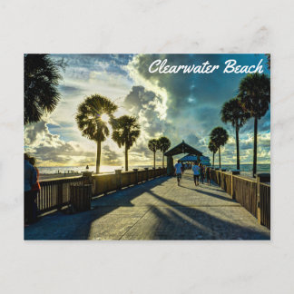 Clearwater Beach, Florida Postcard