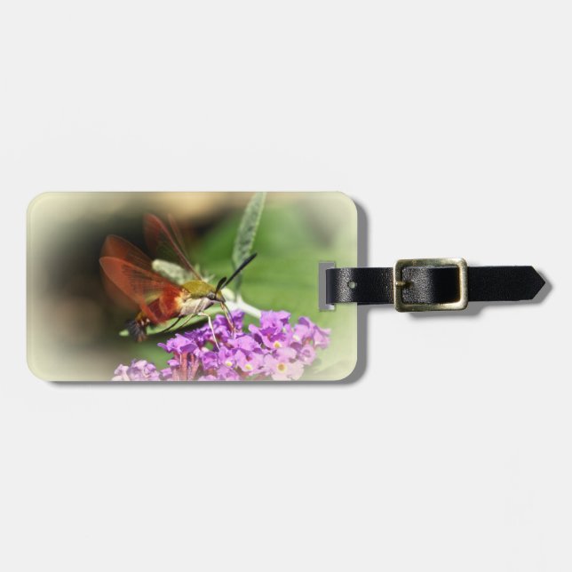 Clearwing Hawk Moth - Hemaris thysbe Luggage Tag (Front Horizontal)