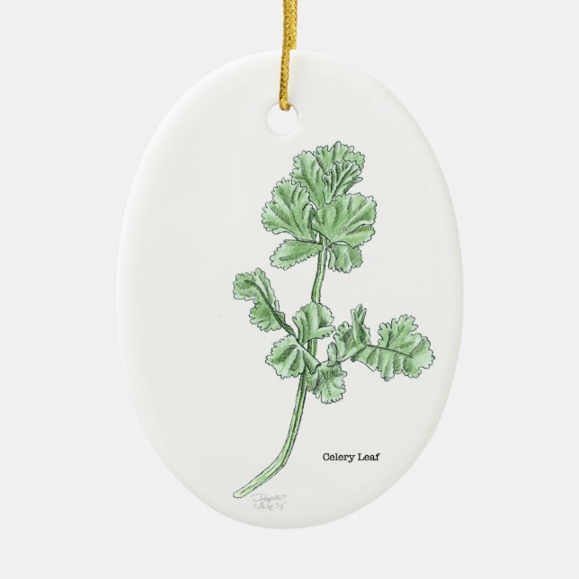 Clelery Leaf Ornament (Front)