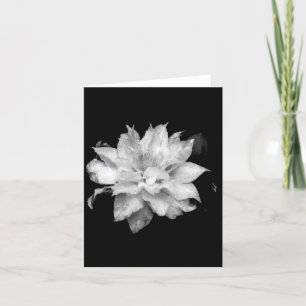 Clematis 2 Blank Note Card Condolences Sympathy