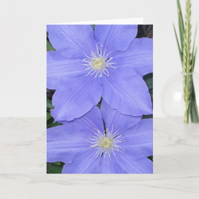 Clematis 2 Note Card (Front)