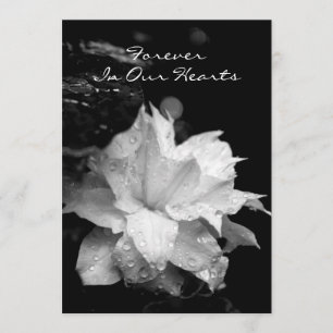 Clematis 2a Dewdrops Funeral Memorial Announcement