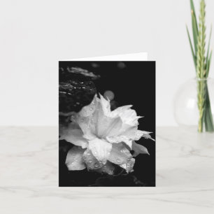 Clematis 3 Blank Note Card Condolences Sympathy