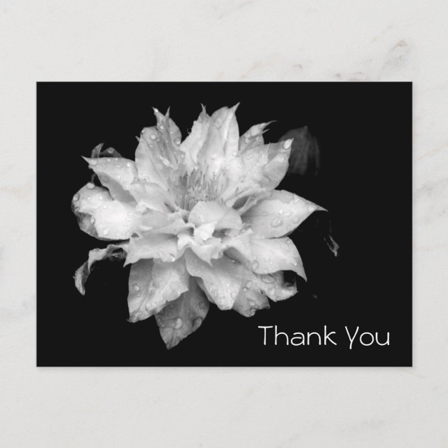 Clematis 3b Memorial Sympathy Thank You Postcard (Front)