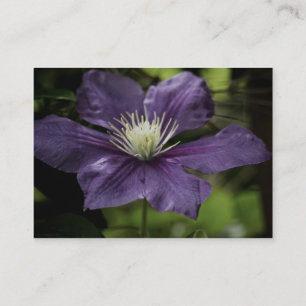 Clematis 8510 Mini Print Business Card