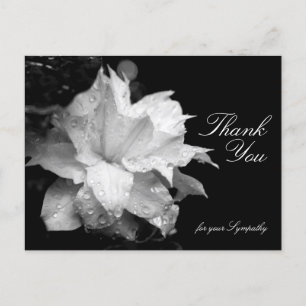 Clematis and Dewdrops  Sympathy Thank You P Postcard