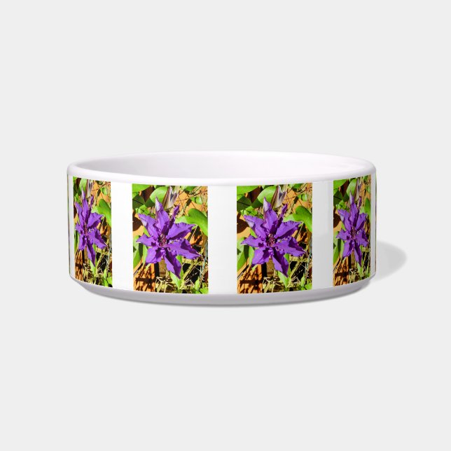 CLEMATIS BOWL (Front)