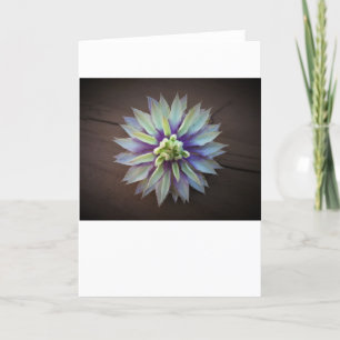 Clematis, card