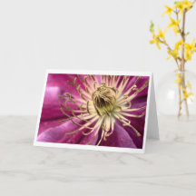 Clematis - Carte de voeux