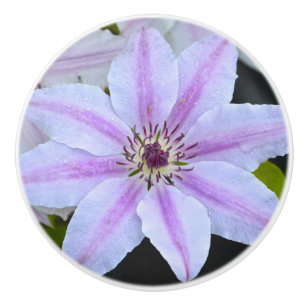 Clematis Ceramic Knob