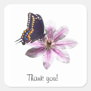 Clematis flower and black swallowtail butterfly square sticker