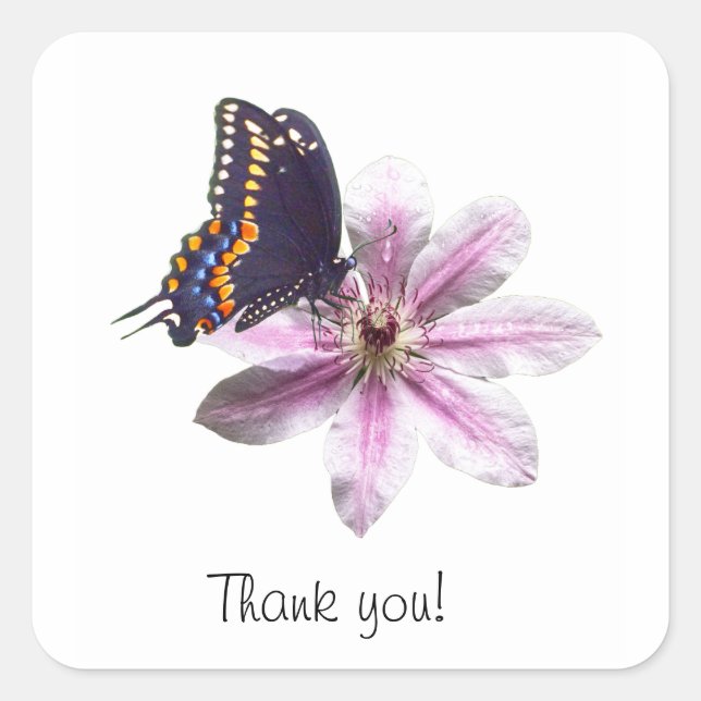 Clematis flower and black swallowtail butterfly square sticker (Front)