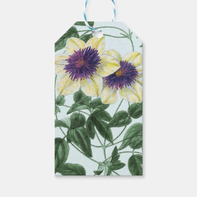 Clematis Flower Art Gift Tags (Front)