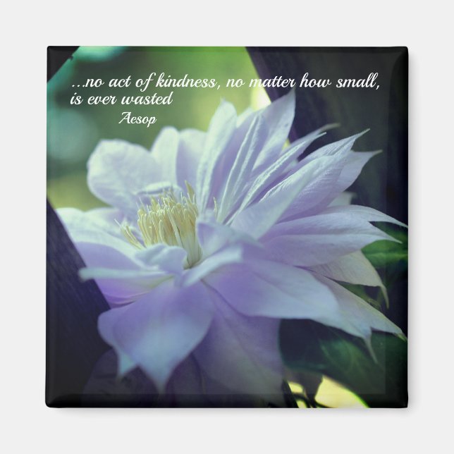 Clematis Flower Kindness Inspirational  Magnet (Front)
