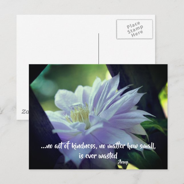 Clematis Flower Kindness Inspirational Quote  Postcard (Front/Back)