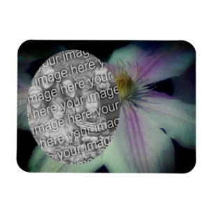 Clematis Flower Petals Frame Create Your Own Photo Magnet