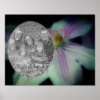 Clematis Flower Petals Frame Create Your Own Photo
