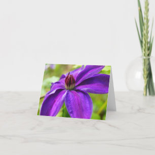 Clematis Hello! Card