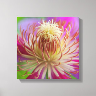 Clematis I Canvas Print