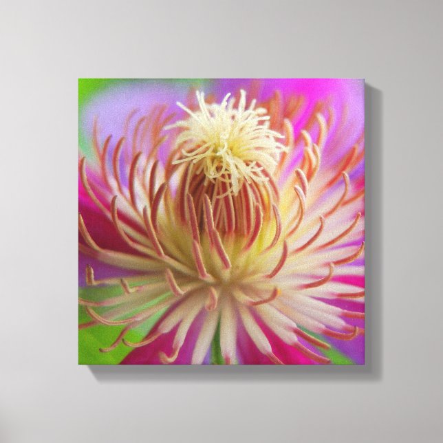 Clematis I Canvas Print (Front)