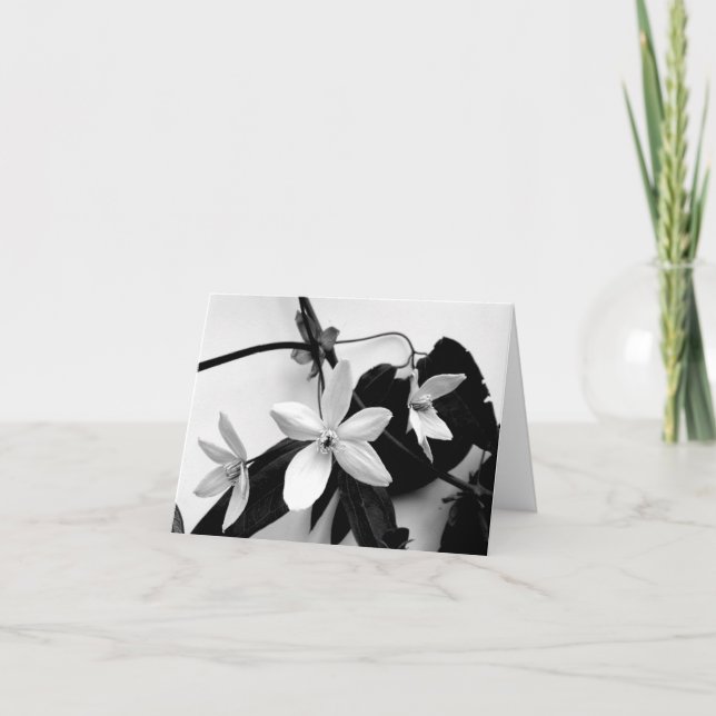 Clematis in Monochrome Notecard (Front)