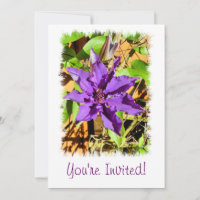 CLEMATIS